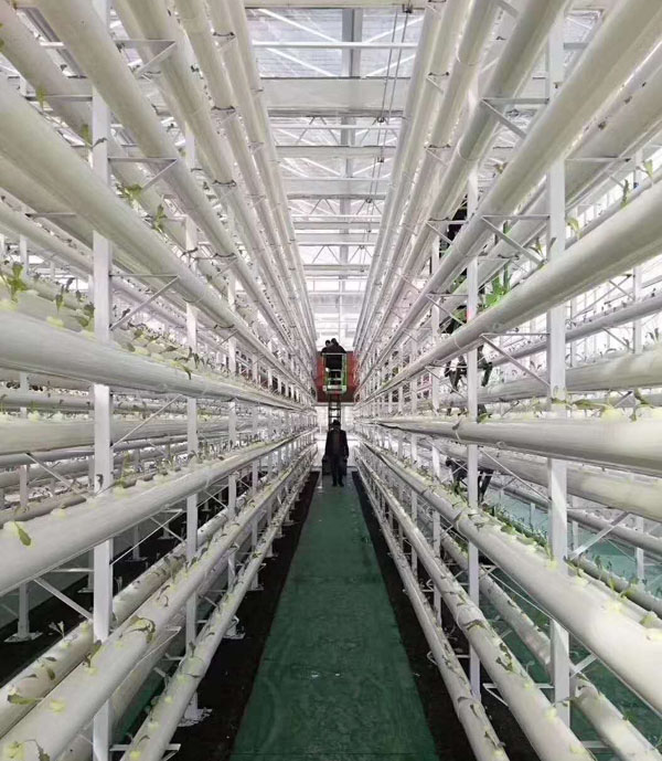 微型自行式液壓升降機工作中 微型自行式液壓升降機工作中